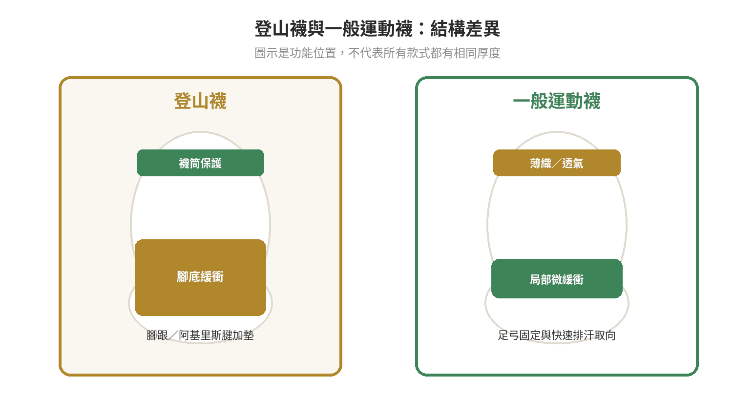 登山襪與一般運動襪在腳底、腳跟、腳踝和襪筒的功能差異示意圖